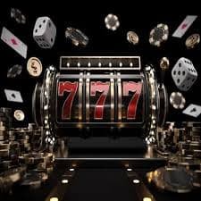 79q